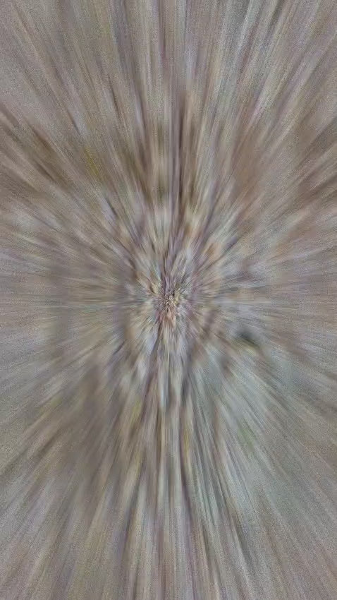 Pic du Midi de Bigorre Blanc - Femme T-shirt en coton biologique